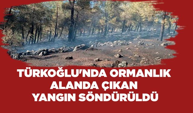 Türkoğlu'nda Ormanlık Alanda Çıkan Yangın Söndürüldü