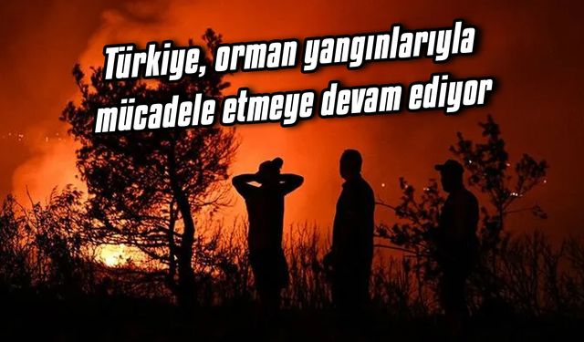 Türkiye, orman yangınlarıyla mücadele etmeye devam ediyor