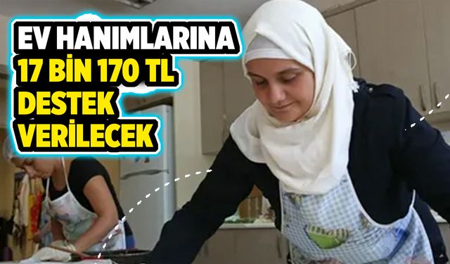 Ev Hanımlarına 17 Bin 170 TL Destek Verilecek Başvuru Başlıyor