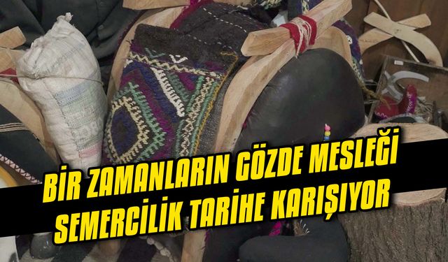 Bir zamanların gözde mesleği semercilik tarihe karışıyor