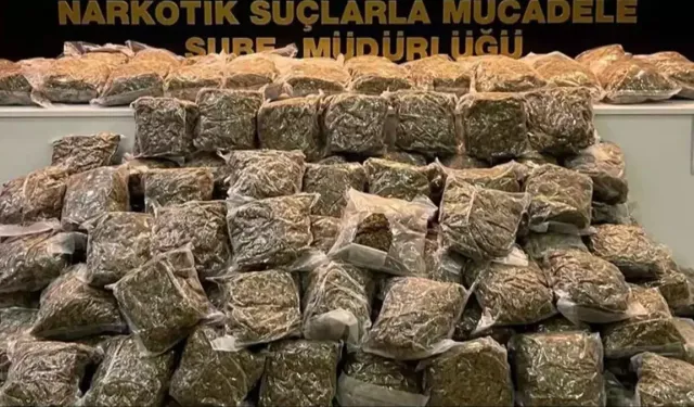 Adana'da 166 kilo 300 gram skunk ele geçirildi