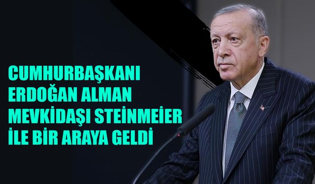 Cumhurbaşkanı Erdoğan Alman Mevkidaşı Steinmeier İle Bir Araya Geldi