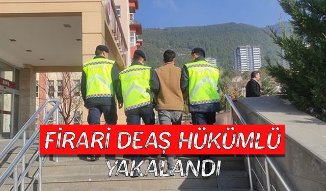 Kahramanmaraş'ta firari DEAŞ hükümlü yakalandı