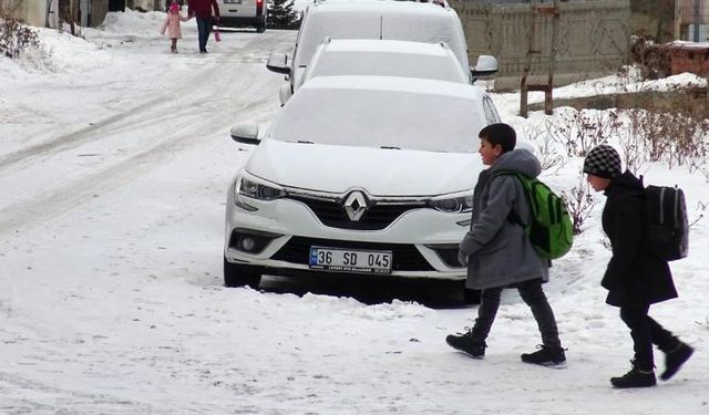 Bitlis ve Van'da eğitime kar engeli