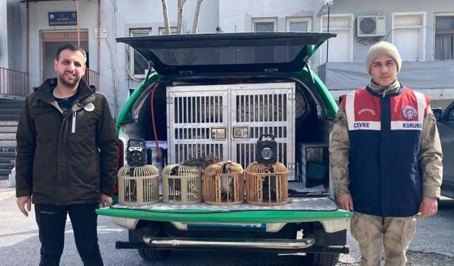 Bitlis'te keklik avına para cezası