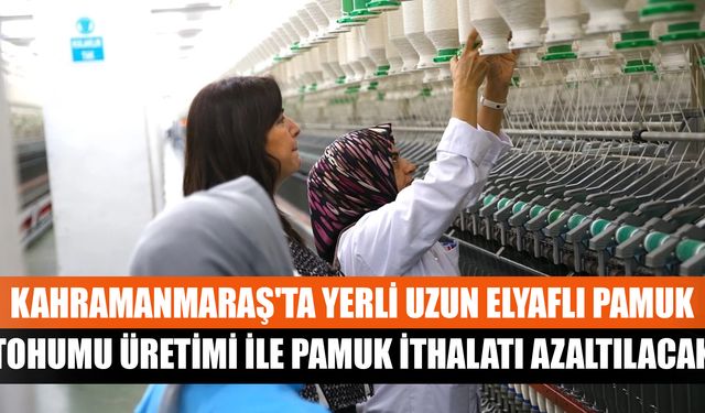 Kahramanmaraş'ta yerli uzun elyaflı pamuk tohumu üretimi ile pamuk ithalatı azaltılacak