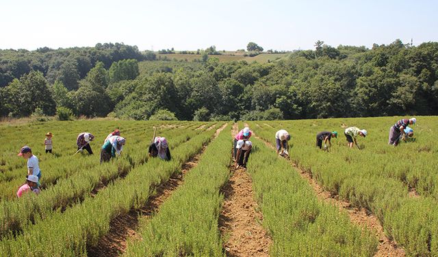 Emektar çiftçi çocukları ve torunlarına toprak sevgisi aşıladı