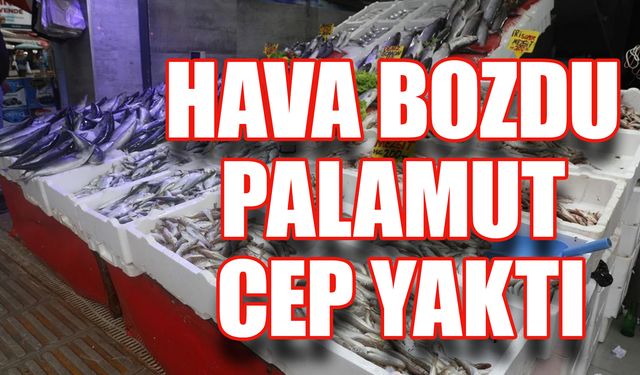 Hava Bozdu Palamut Cep Yaktı