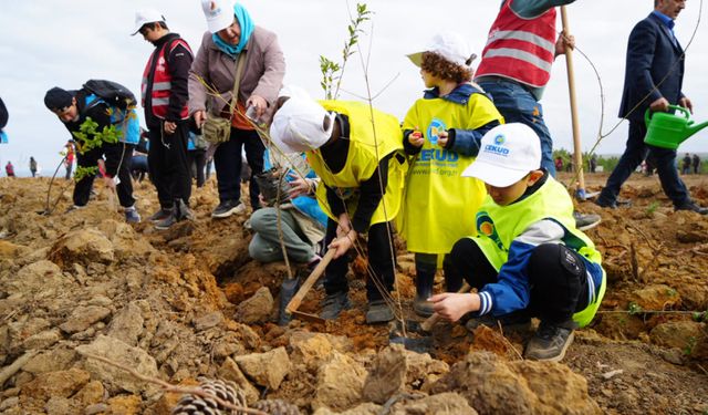 Şile'de 100 bin fidan toprakla buluşturuldu