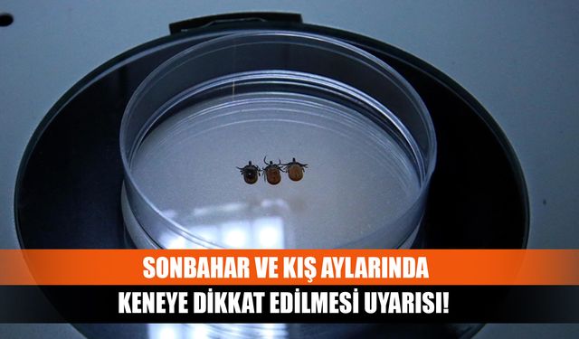 Sonbahar ve kış aylarında keneye dikkat edilmesi uyarısı!