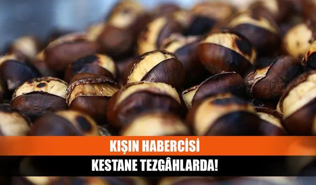 Kışın habercisi kestane tezgâhlarda!