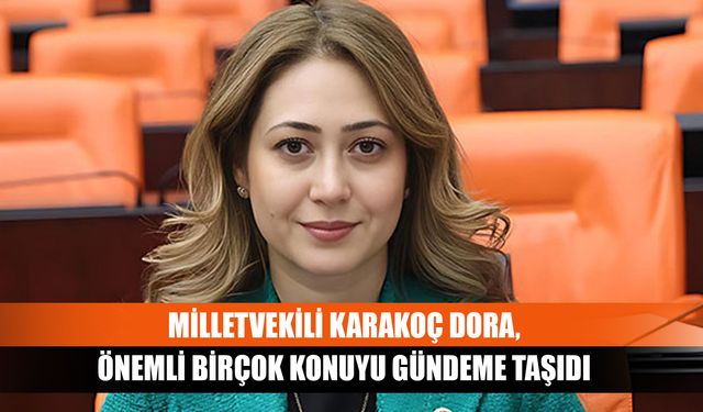 Milletvekili Karakoç Dora, önemli birçok konuyu gündeme taşıdı