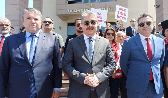 Adana ve Osmaniye'de "Uluslararası Aile Günü" kapsamında yürüyüş düzenlendi