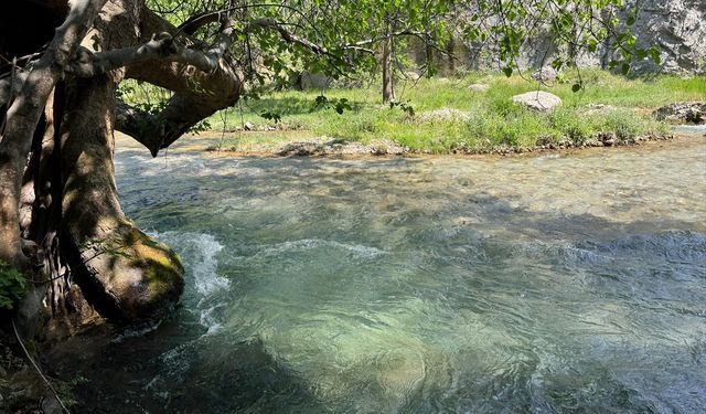 Doğa tutkunları bayram tatilinde Kale Boynu Kanyonu’nu tercih etti