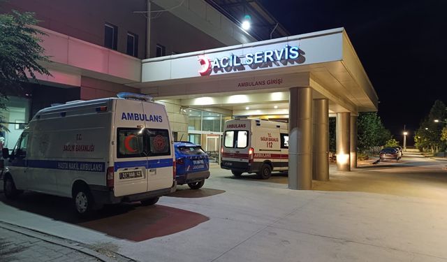 Şanlıurfa'da taşlı ve sopalı kavgada 2 kişi yaralandı