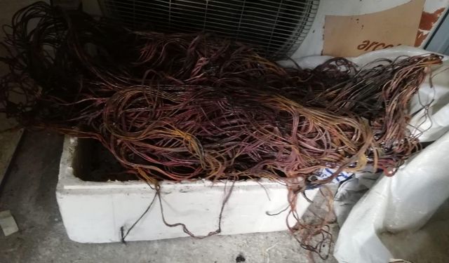 Hatay'da kablo hırsızlığı iddiasıyla 1 kişi tutuklandı