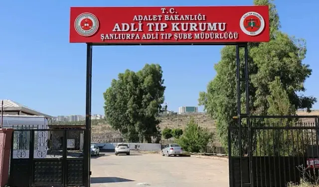 Şanlıurfa'da iş makinesinin çarptığı çocuk hayatını kaybetti