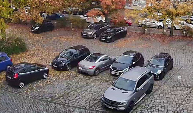 Berlin'de karganın bıraktığı taş park halindeki araca zarar verdi