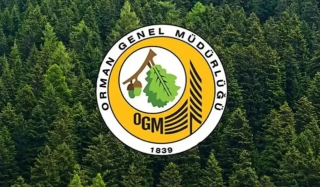 Orman Genel Müdürlüğü 496 yeni personel alımı başvuru ekranı