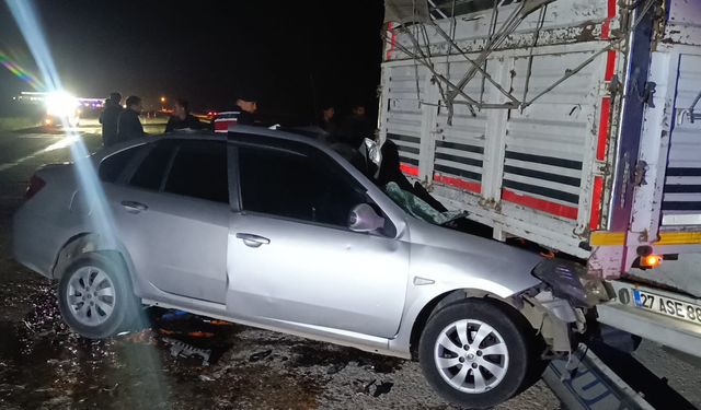 Adana'da kamyona çarpan otomobildeki iki kişi yaralandı