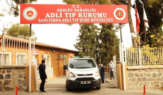 Şanlıurfa'da biçerdöverin boşalttığı pamuğun altında kalan genç öldü