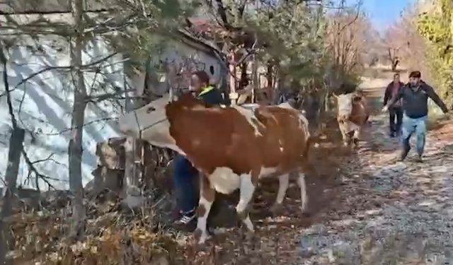 Şekerli vakfı, yangın mağdurunu yalnız bırakmadı
