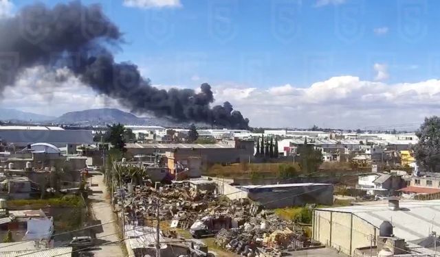 Meksika’da uçak kazası en az 7 kişi hayatını kaybetti