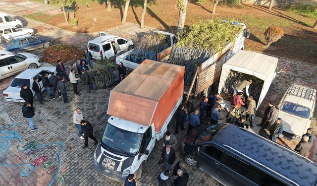 Kahramanmaraş'ta 1500 üreticiye 193 bin adet fidan desteği