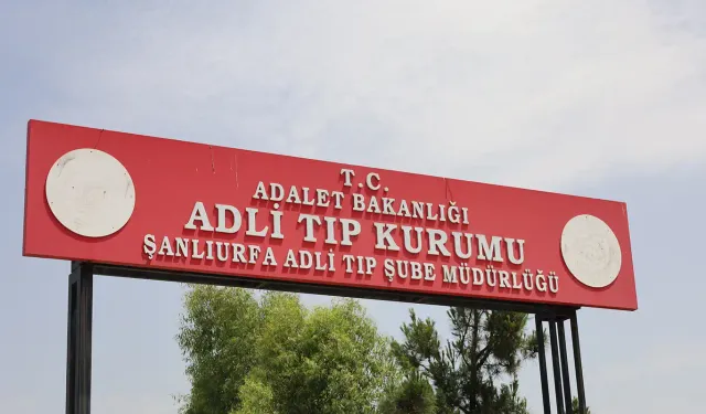 Şanlıurfa'da elektrik akımına kapılan kadın kurtarılamadı