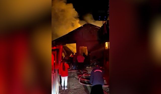 Ahır ve garajda çıkan yangında çok sayıda hayvan telef oldu