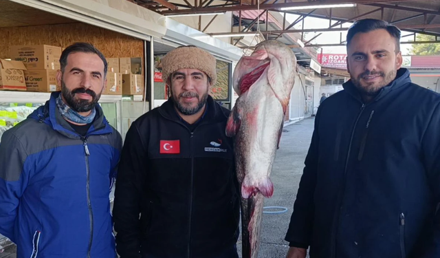 Menzelet Barajı’nda 100 kiloluk dev yayın balığı ağa takıldı