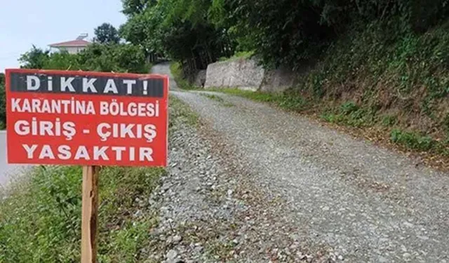 Muğla'da "şap hastalığı" krizi: 11 mahalle karantinada