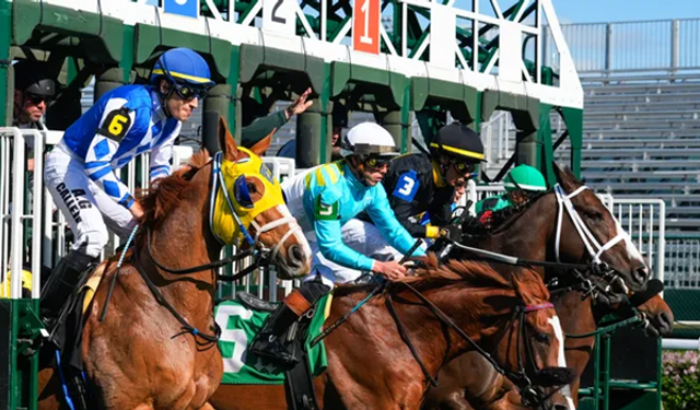 Galatasaray - Fenerbahçe Derbisi Türkiye'de Online Nasıl İzlenir?