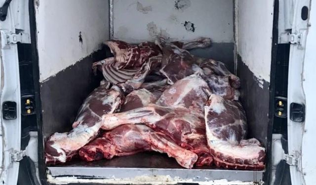 Kaçak ve bozulmuş 6,1 ton hayvansal ürün ele geçirildi