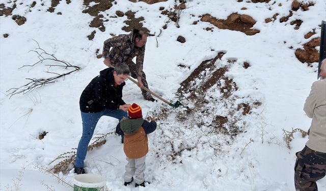 Erzincan'da yabani hayvanlar için karla kaplı arazilere yem bırakıldı