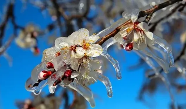 İlk Cemre Düştü, Gözler İkincisinde: Cemre Suya Ne Zaman Düşecek?