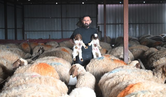 Depremde hayvanlarını kaybeden besici, devlet desteğiyle üretimini katladı