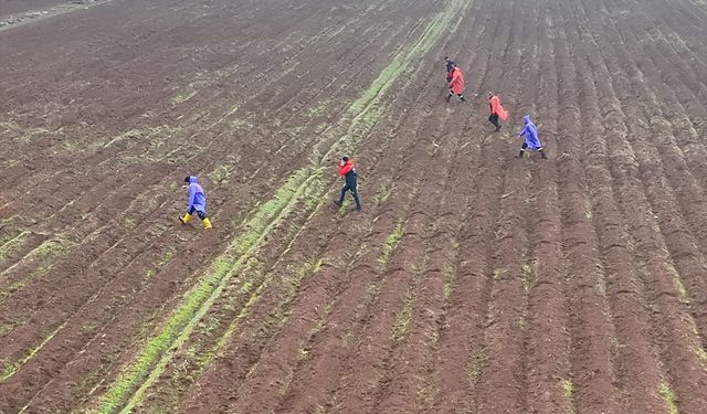 Diyarbakır'da kaybolan kadını arama çalışmaları 12'nci gününde sürüyor