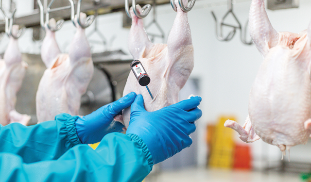 Ticaret Bakanlığı’ndan Fiyat Hamlesi: Kanatlı Eti İhracatı Durduruldu