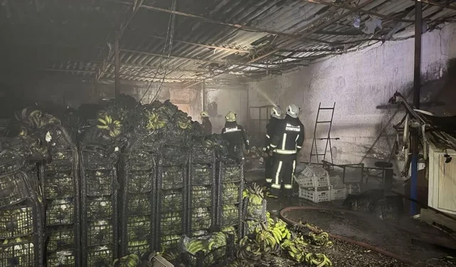 Manavgat'ta muz sarartma tesisinde çıkan yangın söndürüldü