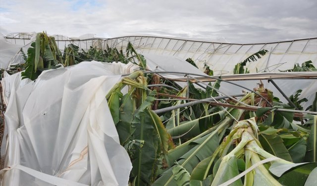 Mersin'de şiddetli rüzgar ve dolu nedeniyle 150 dönüm sera zarar gördü
