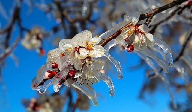 Meteoroloji uyardı: Gece sıcaklıklar 0 derecenin altına düşecek