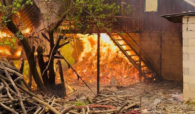 Alanya'da müstakil evde çıkan yangın söndürüldü