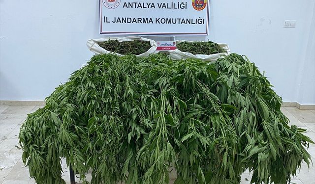 Antalya'da uyuşturucu operasyonunda 1 kişi tutuklandı