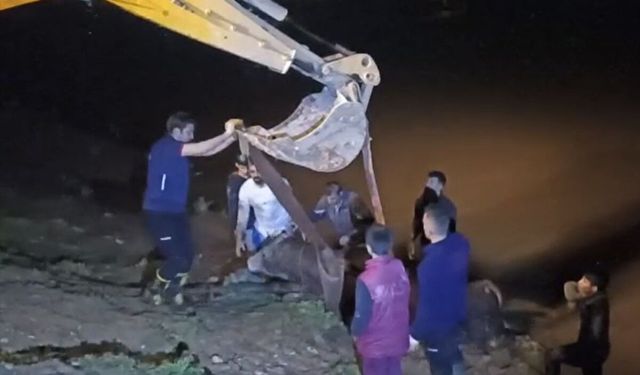 Cizre'de nehre düşen inek iş makinesiyle kurtarıldı