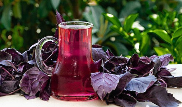 Kahramanmaraş’ta 500 Yıllık Serinlik! Reyhan ve Nar Çiçeği Şerbetine Yoğun İlgi