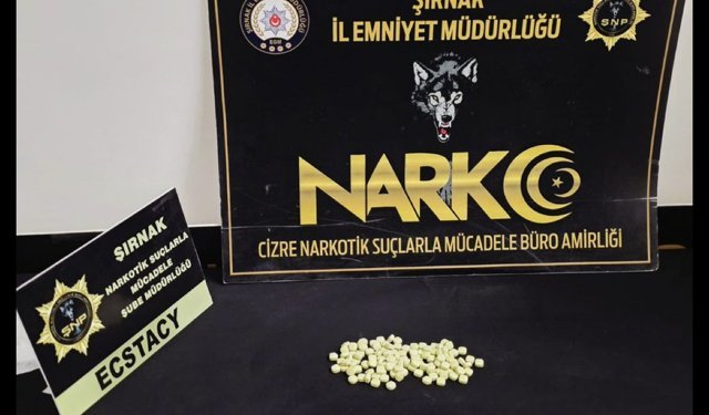 Şırnak'ta uyuşturucu operasyonunda 2 şüpheli yakalandı