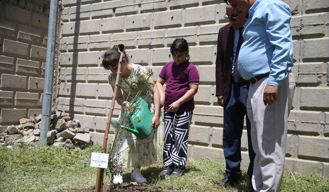 Kahramanmaraş’ta Yitirilen Canların Anısına Zeytin Fidanları Toprakla Buluştu