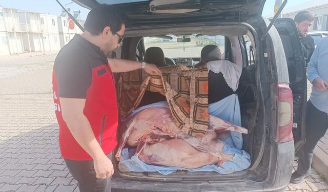 Kahramanmaraş’ta Sağlığı Tehdit Eden Etlere Geçit Yok! Mevzuata Aykırı Karkas Etler İmha Edildi