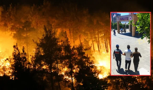 Torpil şakası ormanı yaktı: 43 milyon TL ceza